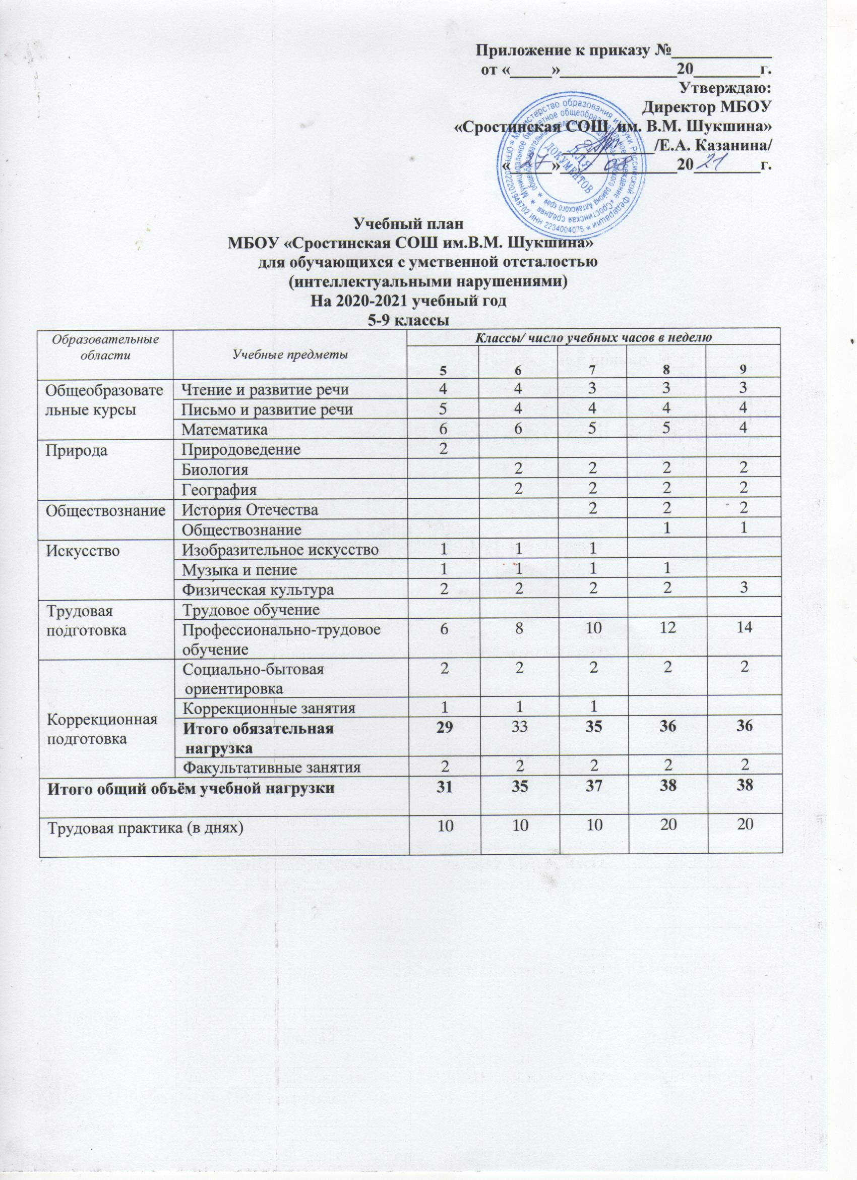 Образование — МБОУ 